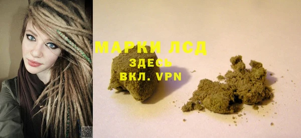 PSILOCYBIN Пересвет