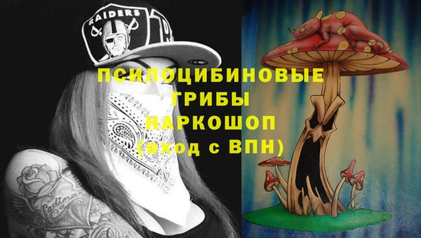 PSILOCYBIN Пересвет