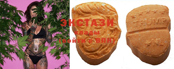 PSILOCYBIN Пересвет